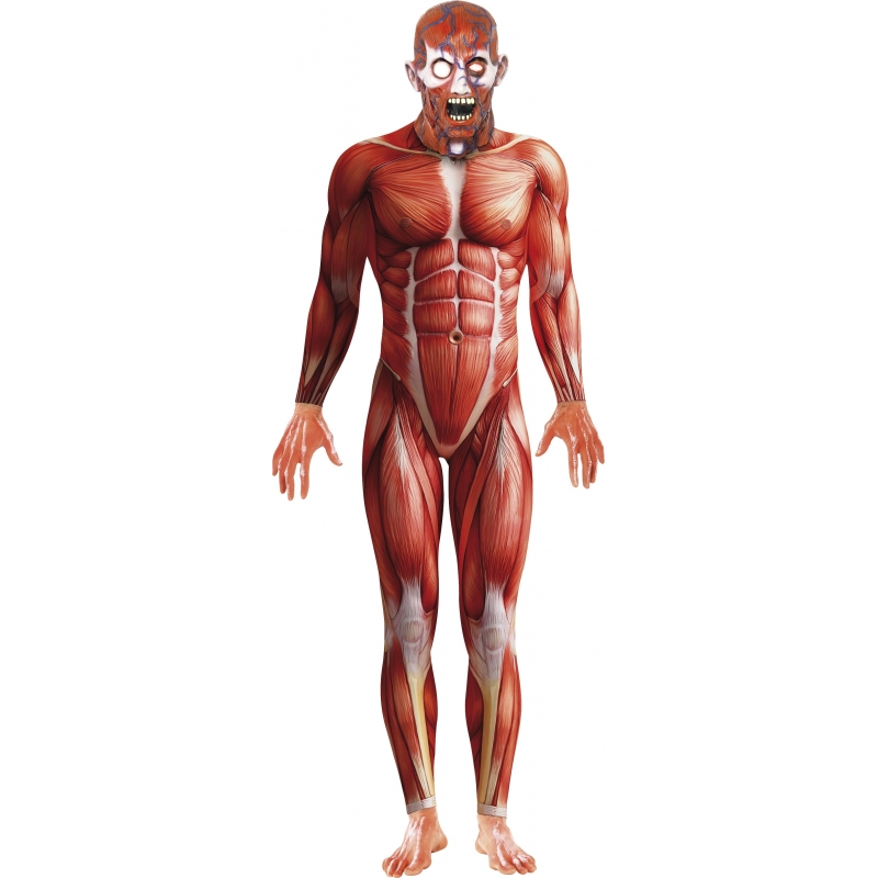 Anatomische man kostuum