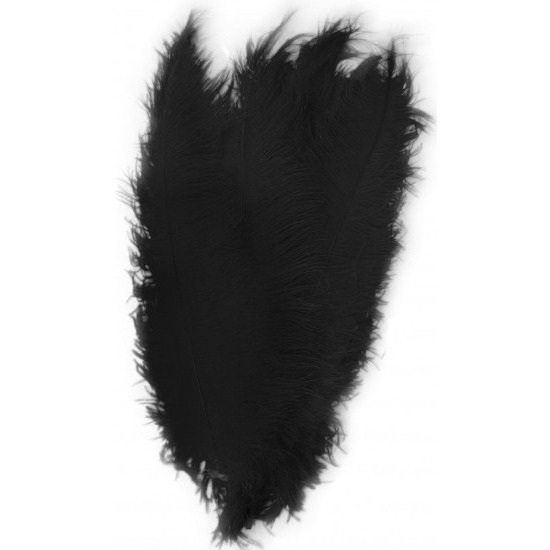 Horror decoratie veer/struisvogelveren zwart 50 cm