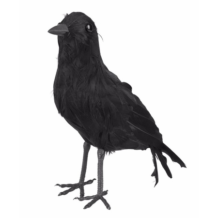 Black crow / raven 23 cm